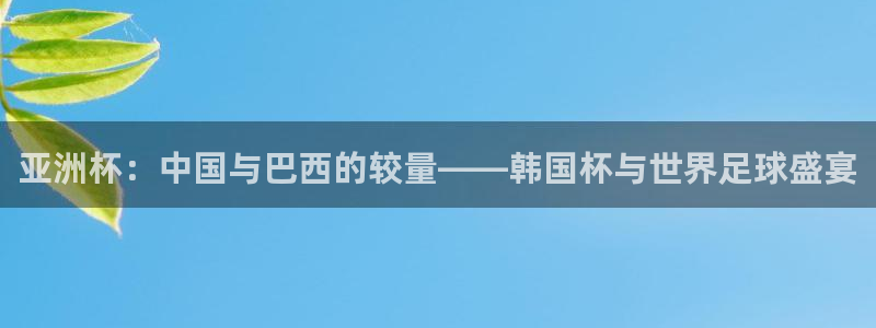 2026世界杯倒计时:亚洲杯:中国与巴西的较量——韩国杯与世界足球盛宴