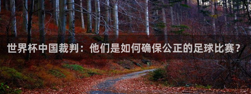 2026男足世界杯赛程:世界杯中国裁判:他们是如何确保公正的足球比赛?