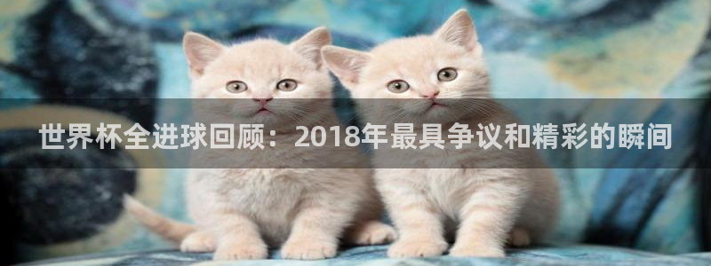 世界杯足球赛:世界杯全进球回顾:2018年最具争议和精彩的瞬间