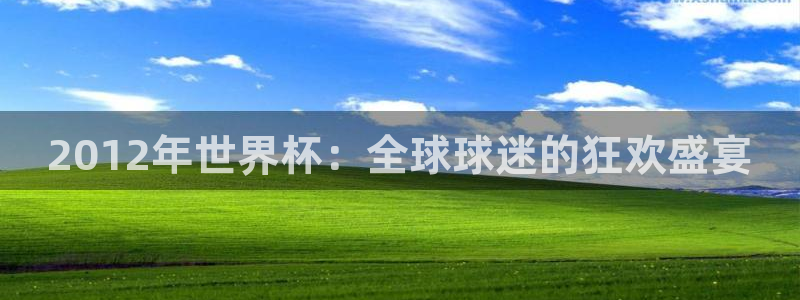2026世界杯官网入口:2012年世界杯:全球球迷的狂欢盛宴